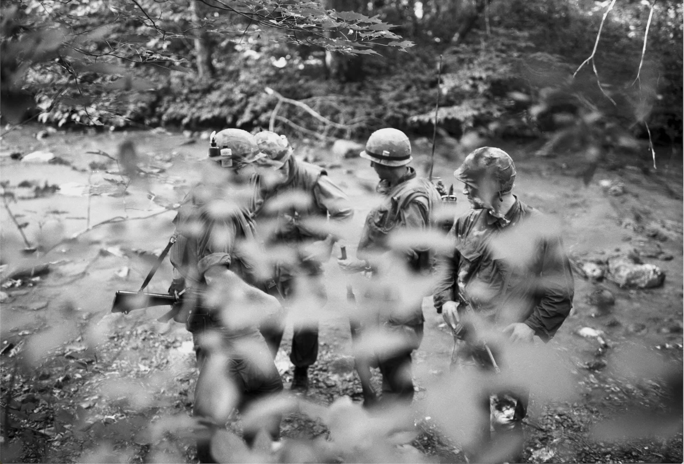 soldiers behind bamboo branches
